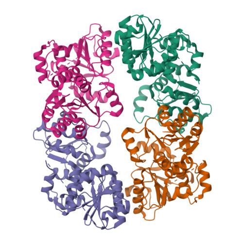 Structure 9YFV