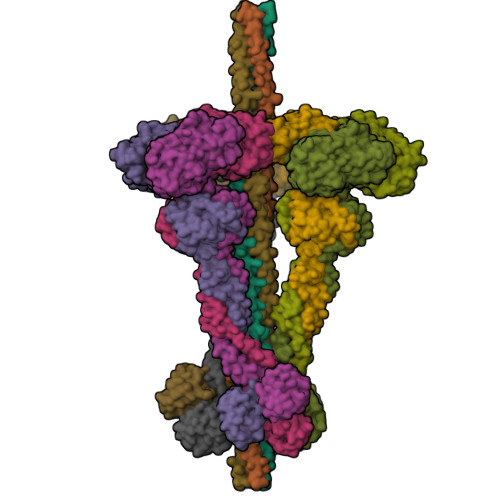 Structure 9YG8