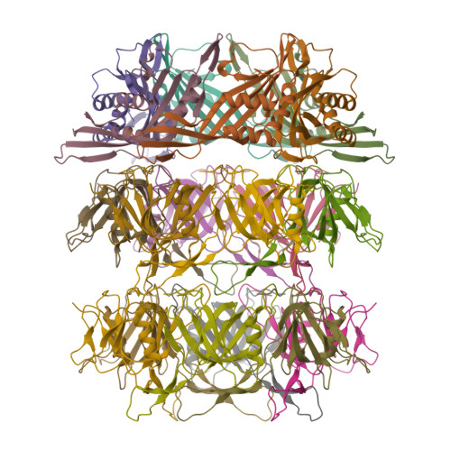 Structure 9YG9