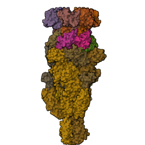 Structure 9YGB