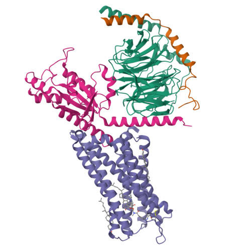 Structure 9YH3