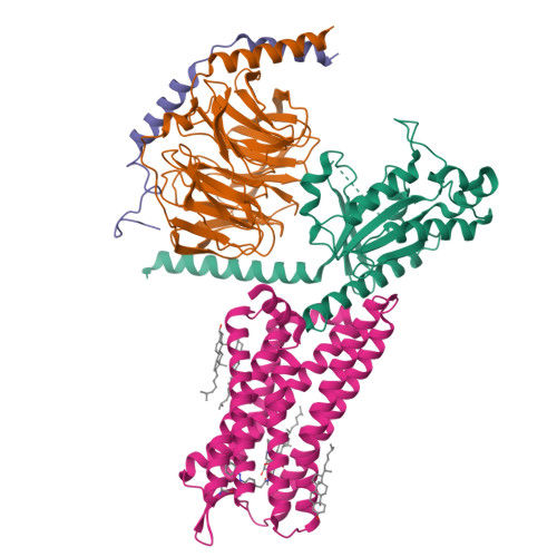 Structure 9YH4