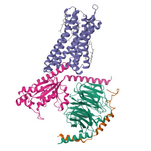 Structure 9YH5