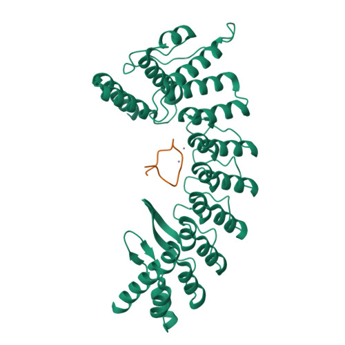 Structure 9YHP