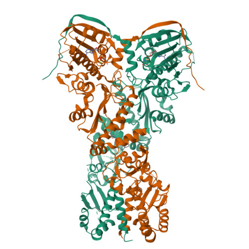 Structure 9YHZ