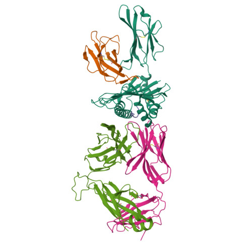 Structure 9YIR