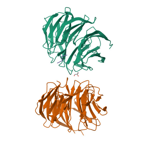 Structure 9YIY