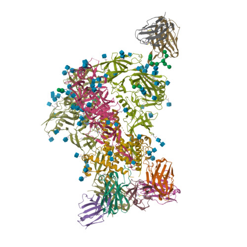 Structure 9YJ1
