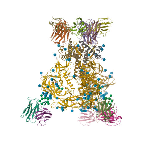 Structure 9YJ2