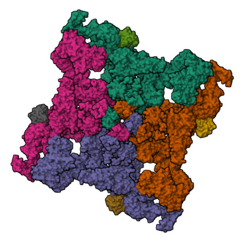 Structure 9YJV
