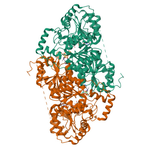 RCSB PDB - 9YJZ: cryoEM structure of Apo Aspergillus fumigatus ...