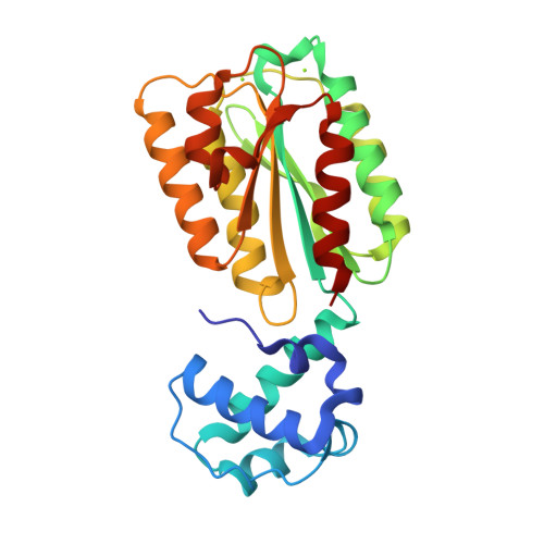 Tag Variant Structures RCSB PDB - 9YKB: The von Willebrand factor A domain of human capillary ...