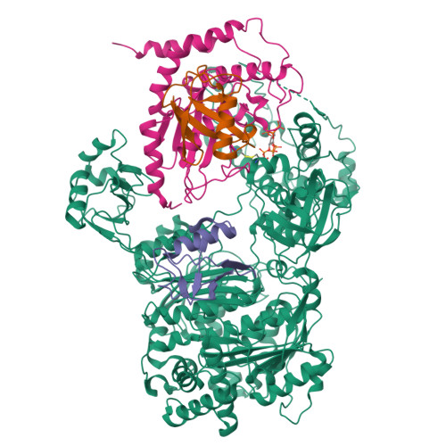 Structure 9YKW