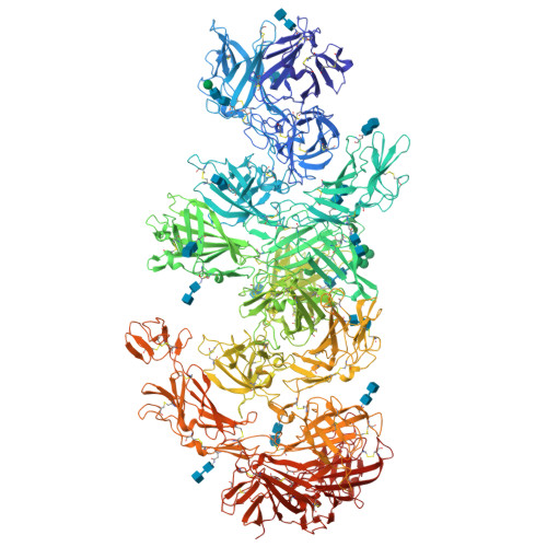 Structure 9YL1