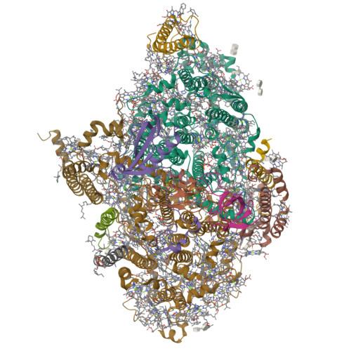 Structure 9YL7