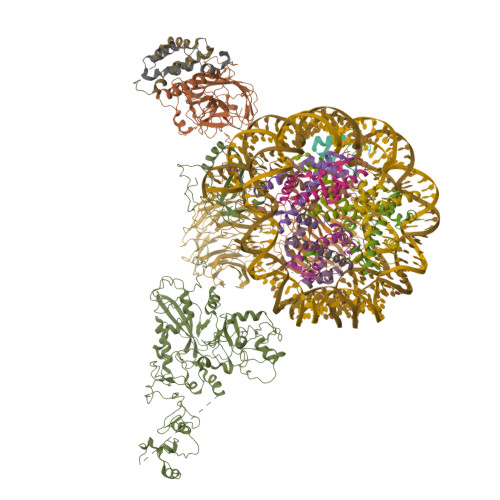 Structure 9YLE