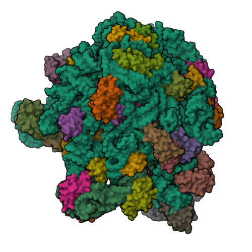 Structure 9YLQ
