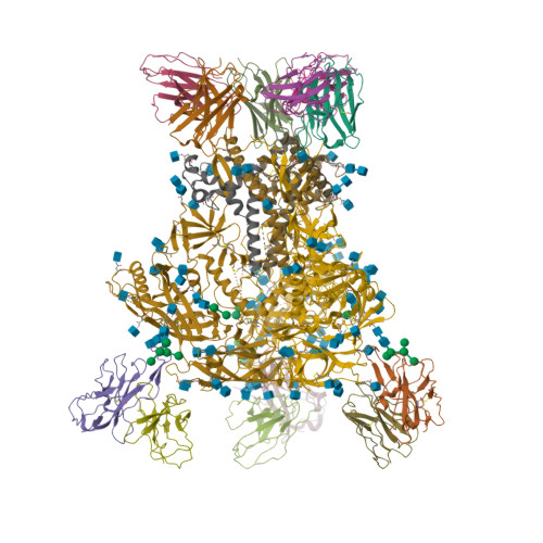 Structure 9YML