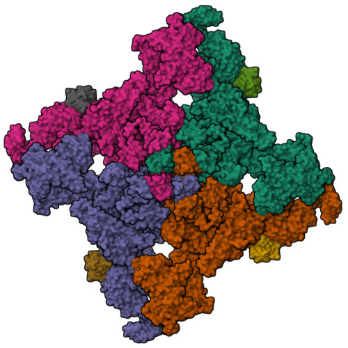Structure 9YN2