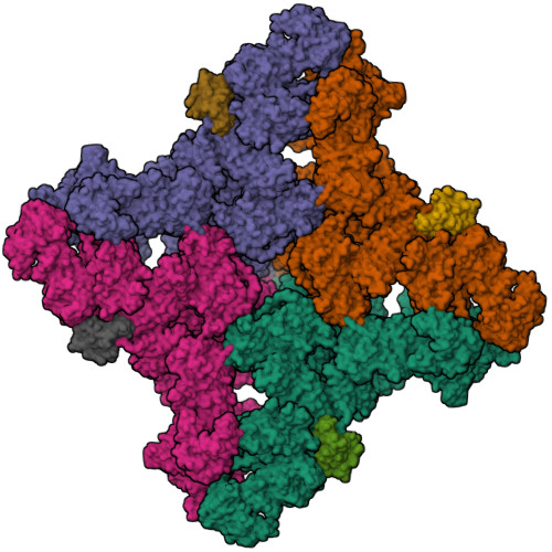 Structure 9YN3