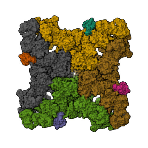Structure 9YN4