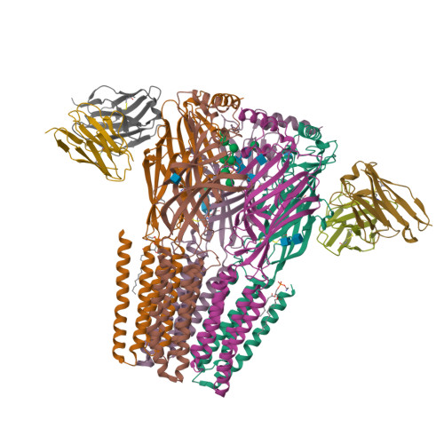 Structure 9YNN