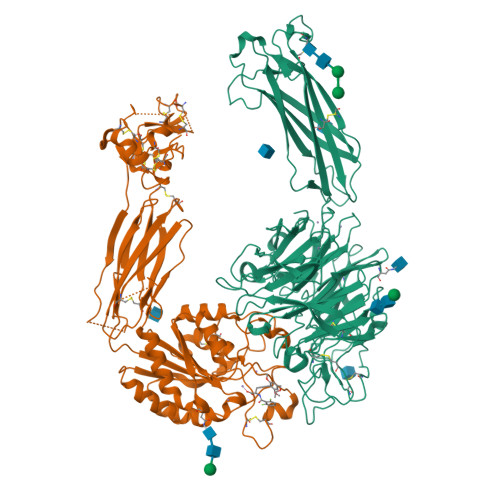 Structure 9YO2