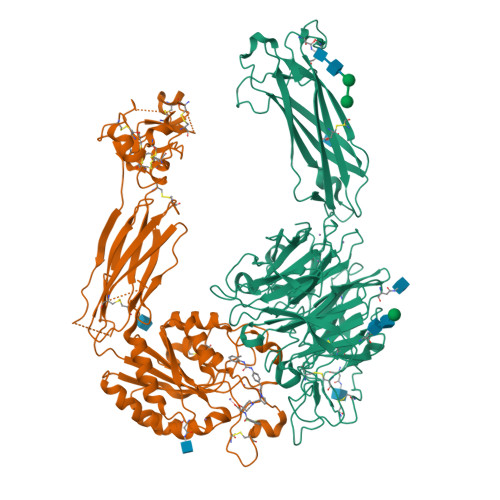 Structure 9YO4