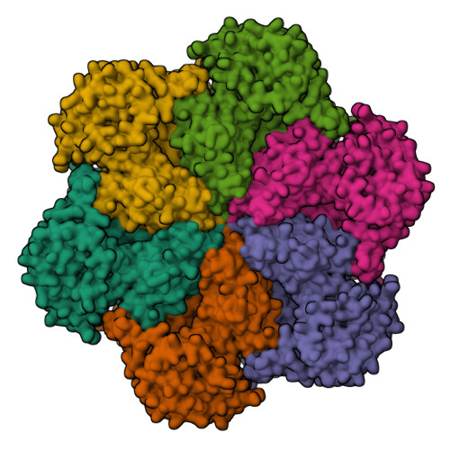 RCSB PDB - 9YP6: Structure of human VCP/p97 hexamer bound to ADP and ...