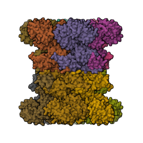 RCSB PDB - 9YP8: Structure of human VCP/p97 dodecamer bound to ADP and ...