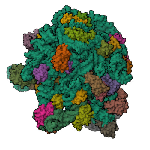 Structure 9YPH