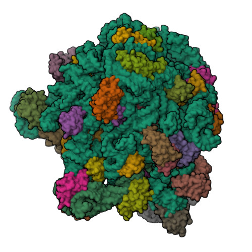 Structure 9YPK