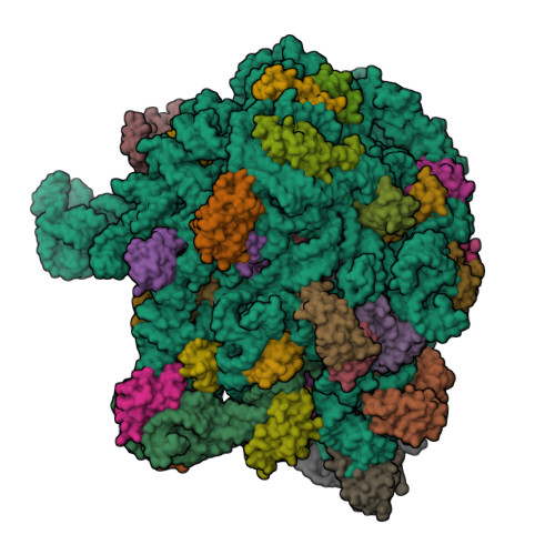 Structure 9YPN