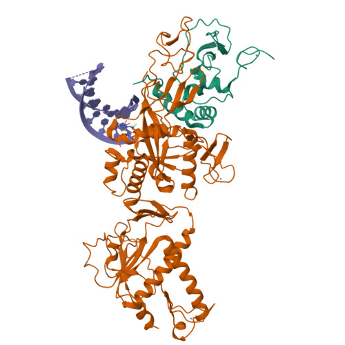 RCSB PDB - 9YRO: Cryo-EM structure of SARS-CoV-2 nsp10-nsp14