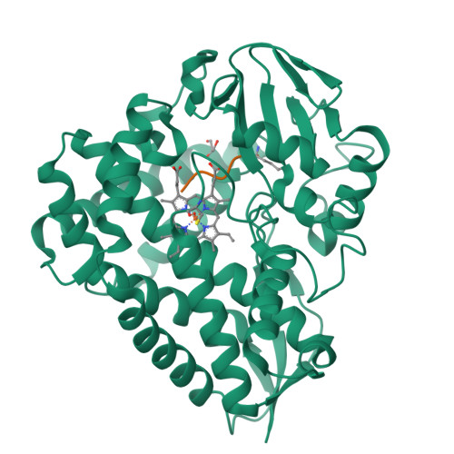 Structure 9YTV