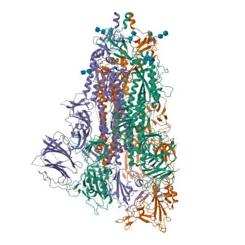 Structure 9YVG