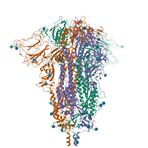 Structure 9YVI