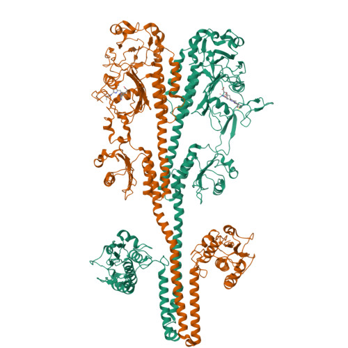 吉章‼️‼️ RCSB PDB - 9YXN: Pr-Pfr heterodimer state of Stigmatella