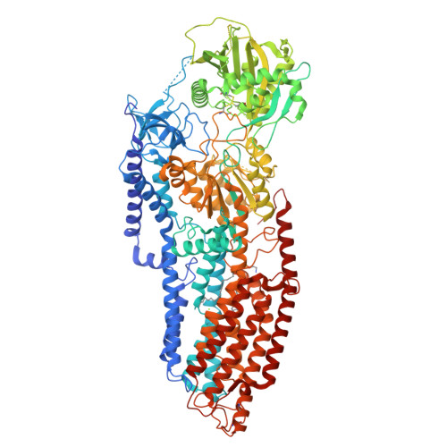 Structure 9YYD