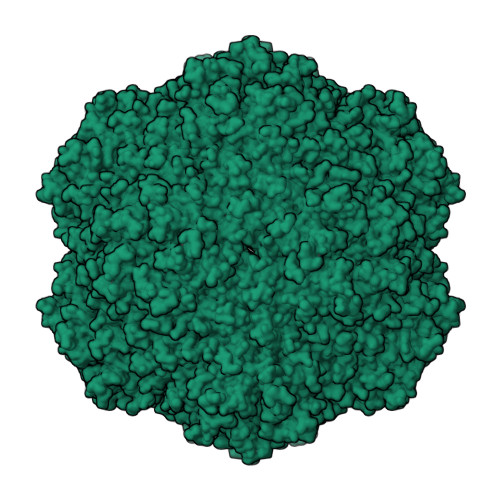 Structure 9YZ1
