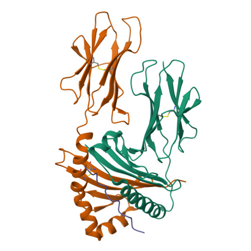 Structure 9YZ3