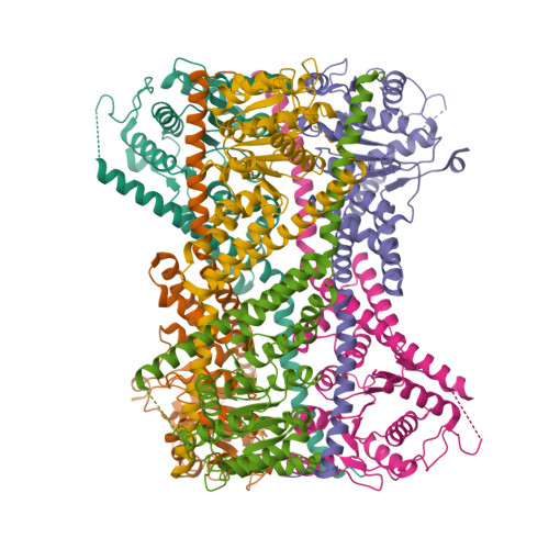 RCSB PDB - 9Z05: Structure of human lymphoid-specific helicase HELLS in ...