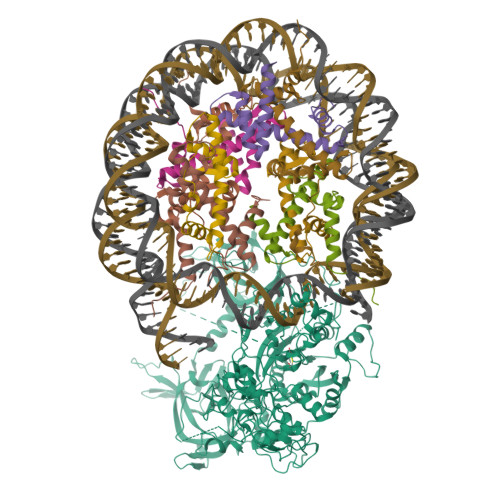 Structure 9Z07
