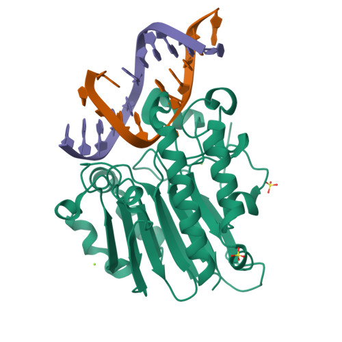 Structure 9Z4Y