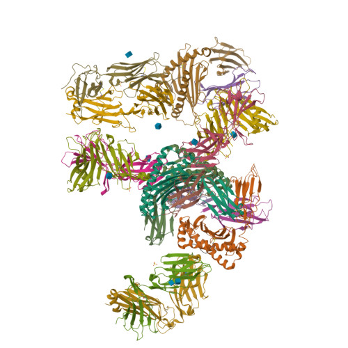 Structure 9Z51