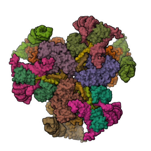 RCSB PDB - 9Z6Y: Structure of the elongating EcDRT3 reverse