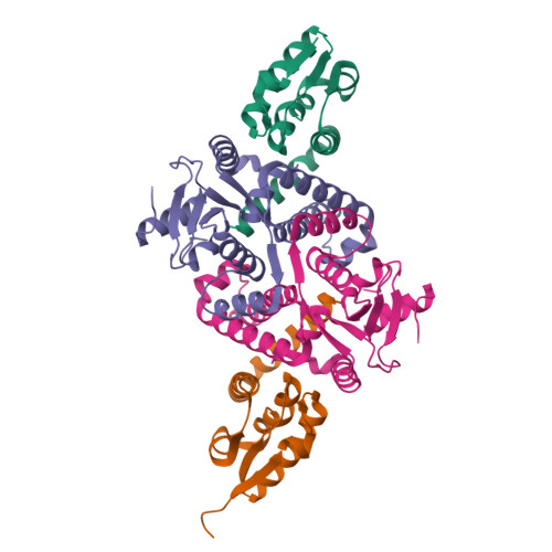 A DNA damage-activated kinase phosphorylates a transcriptional repressor to control bacterial immune pathway expression.