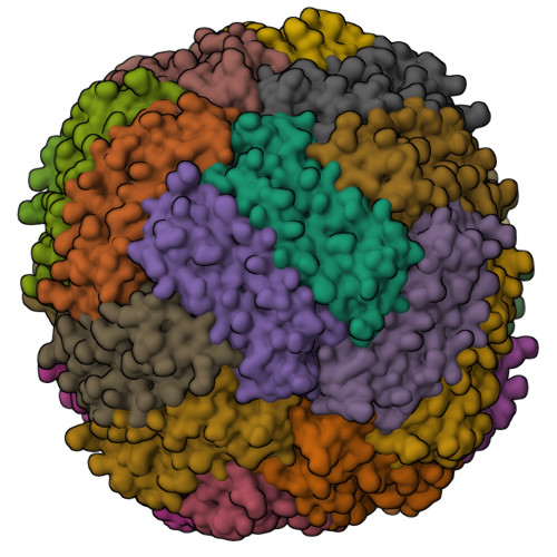 Structure 9Z91