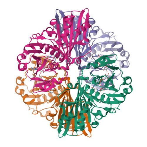 RCSB PDB - 9Z9C: Crystal structure of a glyceraldehyde-3-phosphate