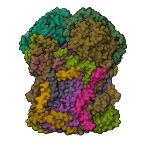 Structure 9Z9K